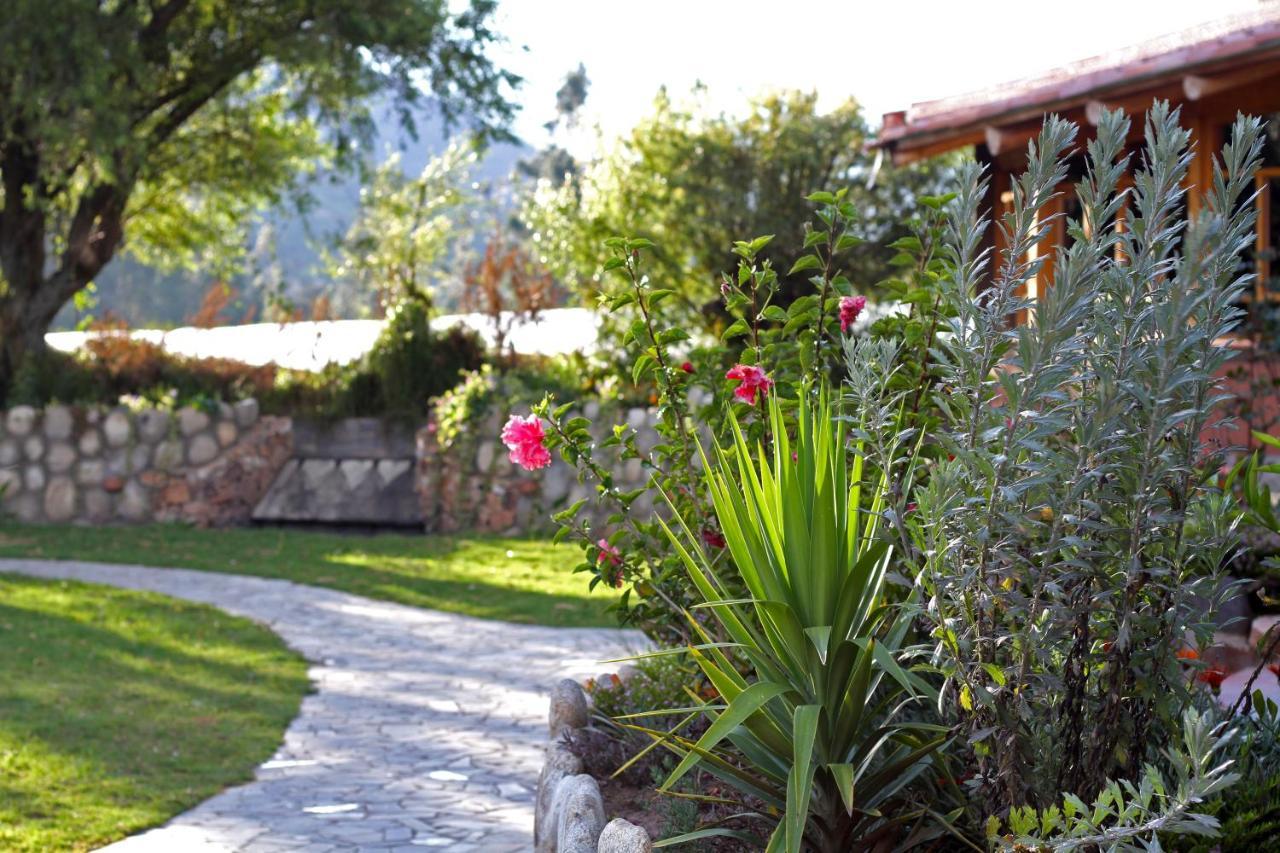Fleur Lodge Carhuaz エクステリア 写真