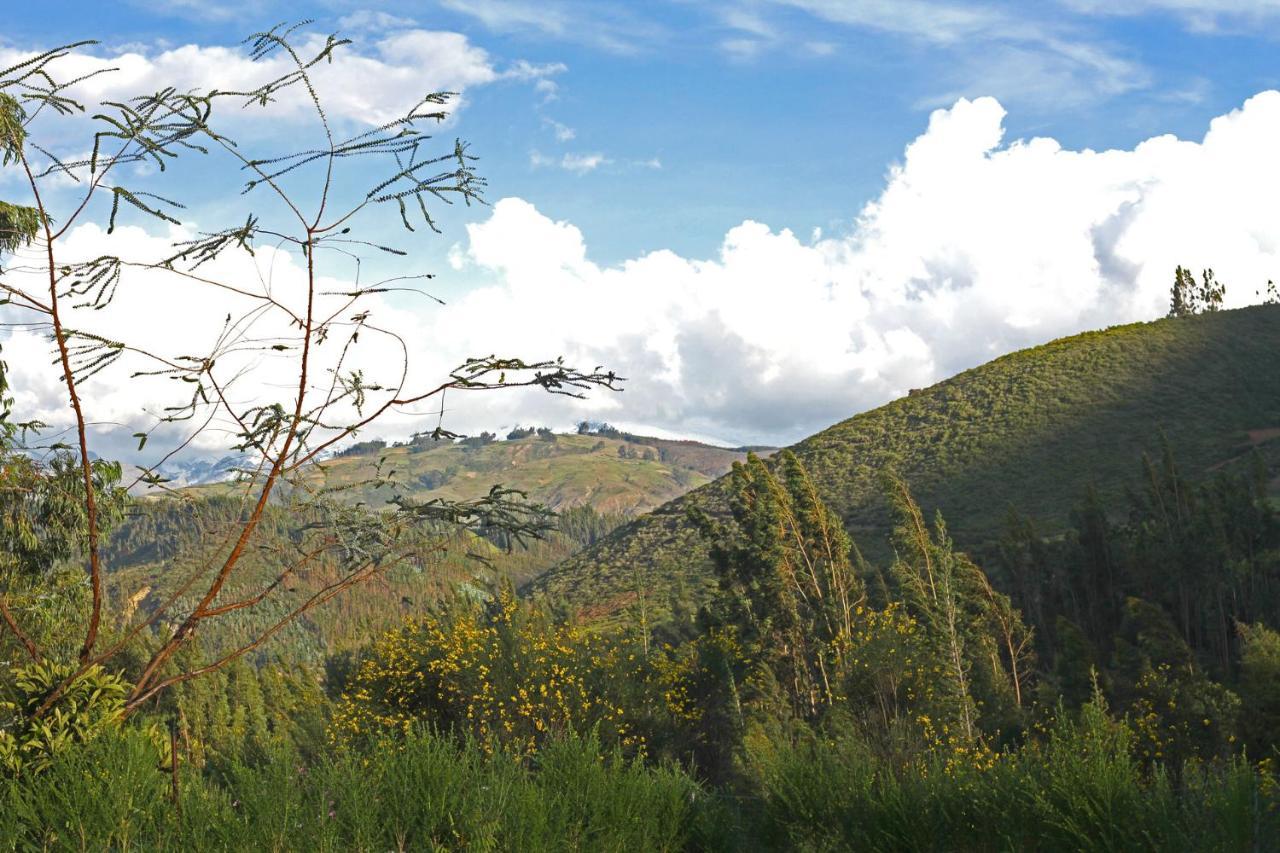 Fleur Lodge Carhuaz エクステリア 写真