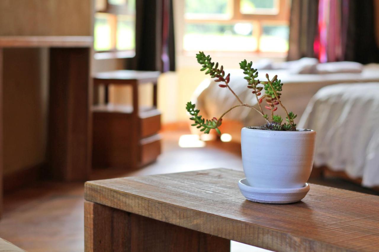 Fleur Lodge Carhuaz エクステリア 写真